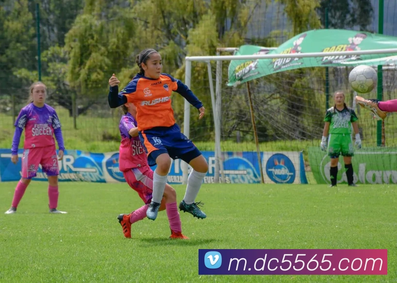 皇家赌场hjdc平台生态图