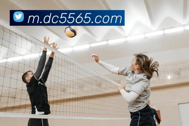 皇家赌场hjdcAPP 封面图